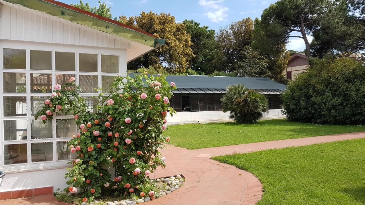 Le Serre Del Lido Lido di Venezia Exterior foto